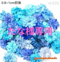 八重コデマリ ピンク系 ドライフラワー H-574 - メルカリ
