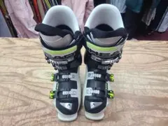 Item thumbnail for item d1530f12-bd78-4936-a57c-bc62d0f08637