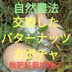 まさ様 リクエスト 3点 まとめ商品