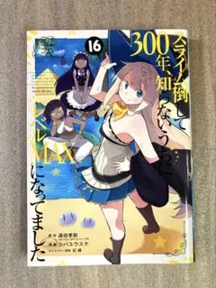 スライム倒して300年、知らないうちにレベルMAXになってました(16)
