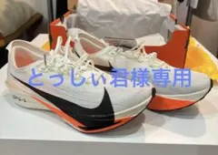 2025年最新】ストリークフライ 2 プロトの人気アイテム - メルカリ