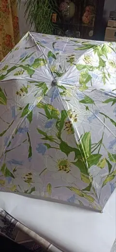 Item thumbnail for item 870f777d-2c9e-4414-b0d6-714bf4507e04