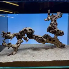 MMW-7664 マシンガンウッドレイアウトセット 流木 アクアリウム - メルカリ