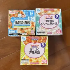 離乳食 3種セット 90g×3