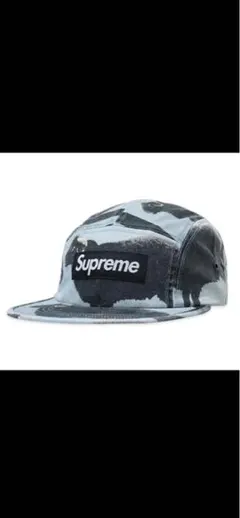 Supreme Damien Hirst Camp Cap 