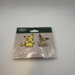 限定品】ピカチュウ・イーブイ／ポケパーク カントー ピンズセット