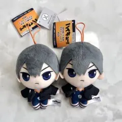 ハイキュー‼︎ ぽてコロマスコット ぬいぐるみ 影山飛雄 日向翔陽