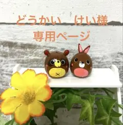 【どうかい　けい様専用です】どんぐりアート