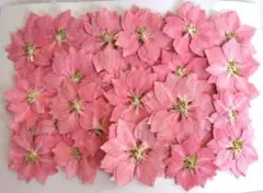 Item thumbnail for item 4b3f99f9-5230-4d47-ad94-2d4192c0e253