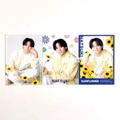 FANTASTICS 澤本夏輝 SUNFLOWER フォトカ シクレ セット - メルカリ