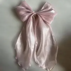 ディズニーリゾート ラプンツェル プリンセス　ヘアゴム　リボン