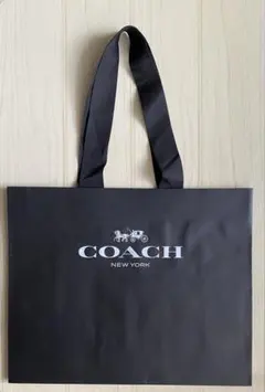 Item thumbnail for item fa67aff7-5613-4f14-99d7-c0a873670c1c