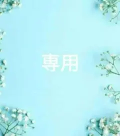 専用です★極美品　セントジェームス　赤　t5　ML