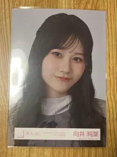 Item thumbnail for item b009e309-a4b1-4ce2-8929-07e8a7cad69d