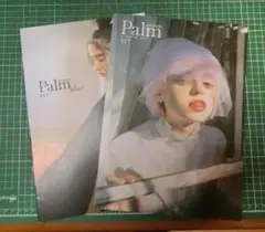 Palm maison in a dream 017