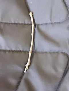 천연 분지 방향제처럼 보이지 않는 쓰레기