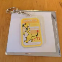 ポケモン　プロント　コラボ　アクリルキーホルダー　 デンリュウ