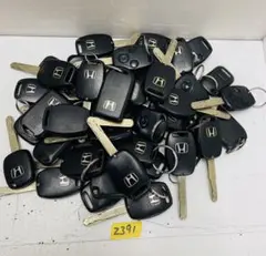 Item thumbnail for item b1057507-3c13-4be4-9c51-f02e3952689f