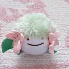 韓国限定 メタモンは変身中 ピカチュウ メタモン ぬいぐるみ 事前予約