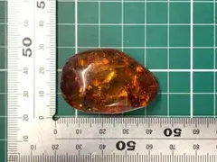 ロイヤルアンバー琥珀 帯留め 楕円形 コハク x14 - メルカリ