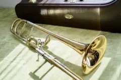 2025年最新】テナーバストロンボーン 太管の人気アイテム