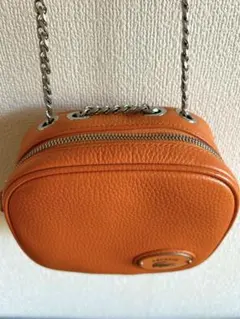 POLO RALPH LAUREN レザー ポーチ ミニバッグ CH35 - メルカリ