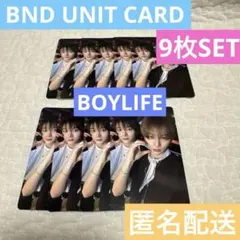 BOYLIFE ボーイライフ ユニット テサン ソンホ