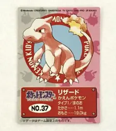 希少】トップサン ポケモンカード リザード 005 当時物 裏青 状態良好