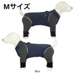 ALPHAICON フルドッグガード 2022年モデル（M・カーキ・完売商品