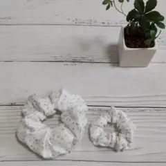 Item thumbnail for item 64c3d68a-6113-4755-beb5-dd35f3e30a72