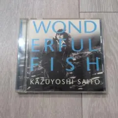 斉藤和義 wonderful fish CD
