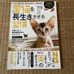 愛猫を長生きさせる習慣