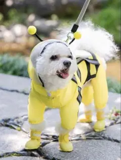 Item thumbnail for item d5c935d3-28d4-4e65-a728-a1756cc4f678