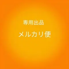 ふじこちゃん様専用