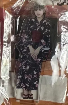 豆柴の大群　アイカ・ザ・スパイ　アクスタ　浴衣