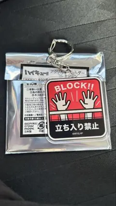 ハイキュー!!注意喚起キーホルダー