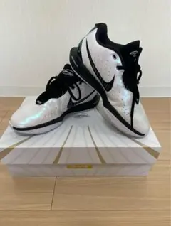【日曜まで値引中】Nike LeBron 21 "Conchilin" EP バ