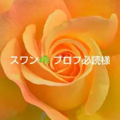 ☘️スワン☘️ プロフ必読様 リクエスト 2点 まとめ商品