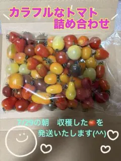 も@⚠︎プロフ必読さま、専用です♪ カラフルミニトマトときゅうりの