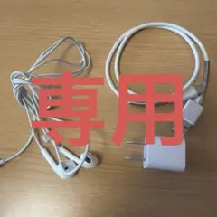 Apple純正イヤフォン&USB充電器セットタイプC