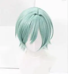 あんさんぶるスターズ!! あんスタ 風早巽 かぜはやたつみ ウィッグ