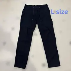 Item thumbnail for item e223e22f-5606-4e12-8473-4afc6c9e00c8