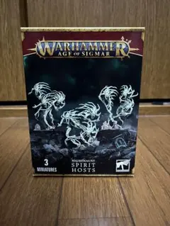 Warhammer Nighthaunt Spirit Hosts