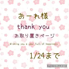 おーれ様お取り置き№3914 ラウンド型レジンヘアゴム