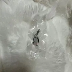 PEANUTS めじるしアクセサリー FUNNY ver. スヌーピーA