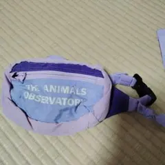 THEANIMALSOBSERVATORY