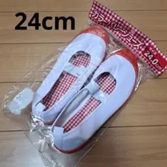 上履き 24.0cm バレーシューズ 赤色 上靴