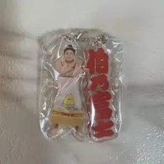 大相撲 伯乃富士アクリルキーホルダー