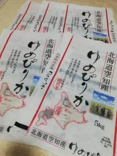 Item thumbnail for item 988ce31c-106a-4b6d-8f51-35170dd03331