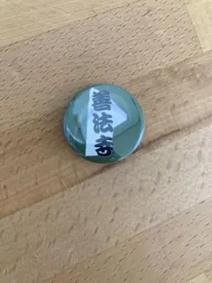 忍たま 忍たま乱太郎 尼子騒兵衛漫画ギャラリー 善法寺伊作 観光特使 缶バッジ